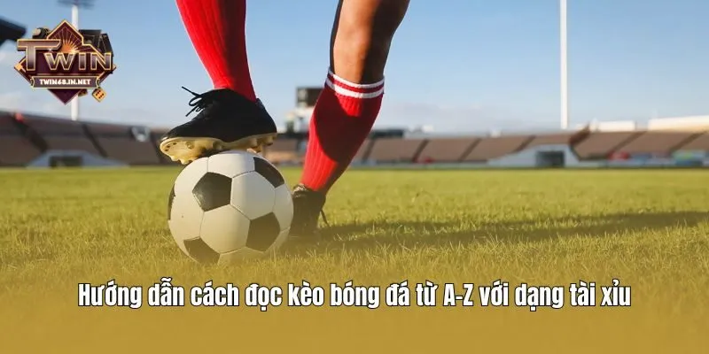 Hướng dẫn cách đọc kèo bóng đá từ A-Z với dạng tài xỉu