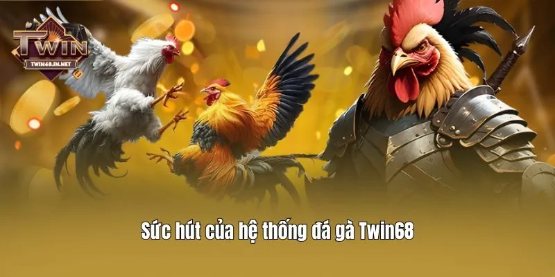 Sức hút của hệ thống đá gà Twin68